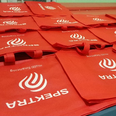 Tas spunbond 45x35x10